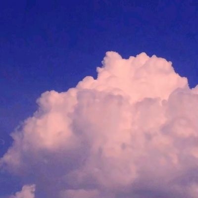 Bob体育登录入口APP下载