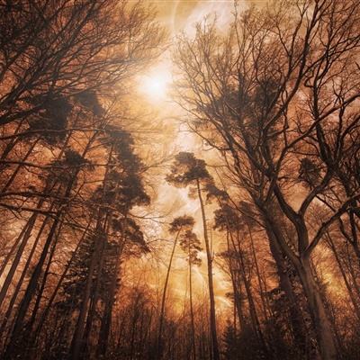 江南登录入口APP下载