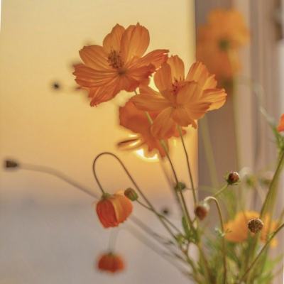 金沙澳门场娱网址